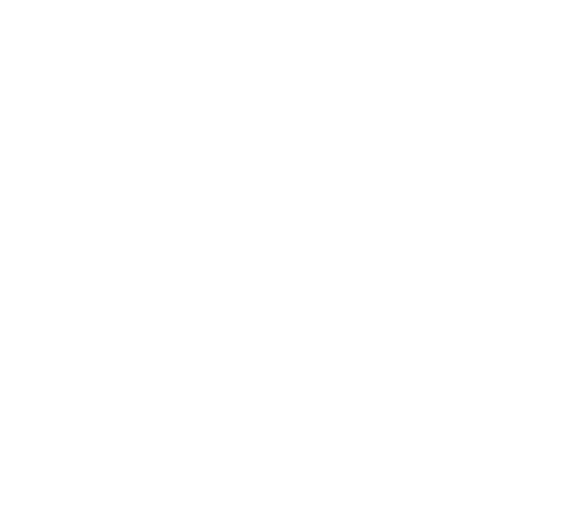 Youtube IPS